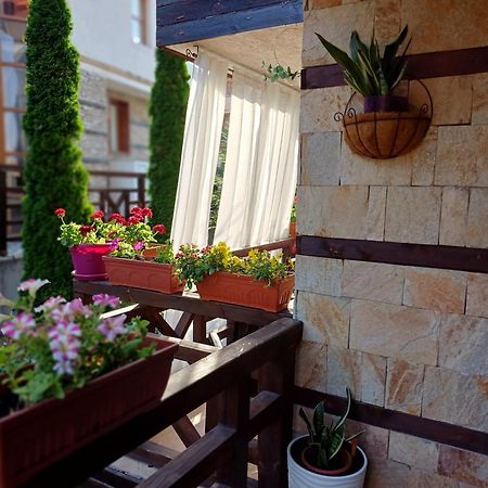 Mila Vip Apartment Bansko Ngoại thất bức ảnh