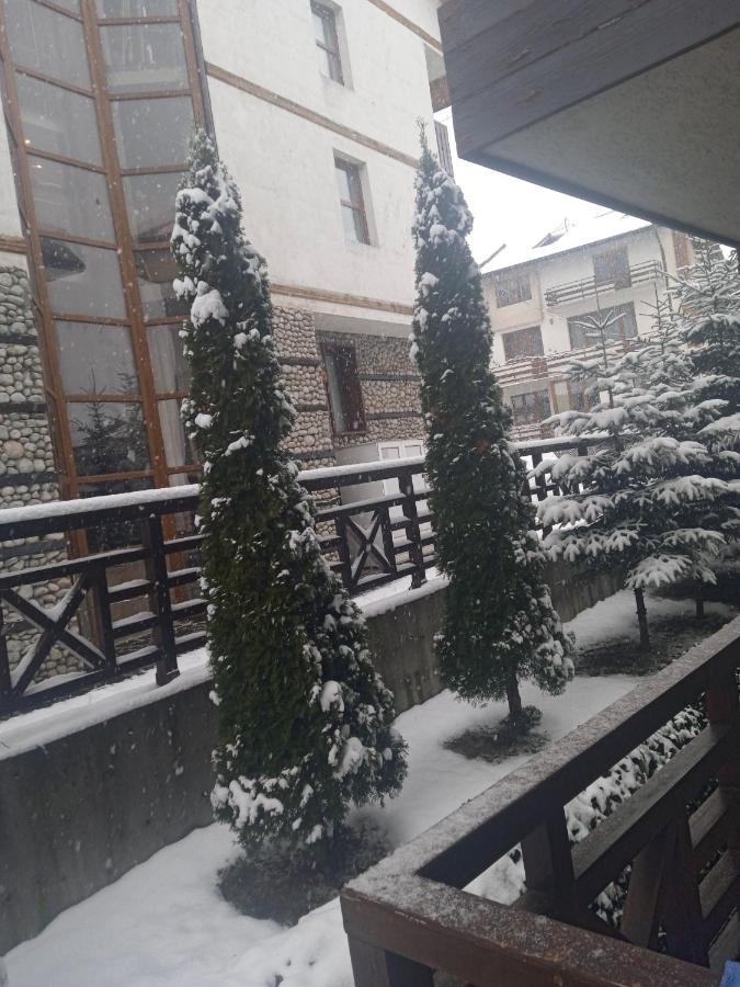 Mila Vip Apartment Bansko Ngoại thất bức ảnh